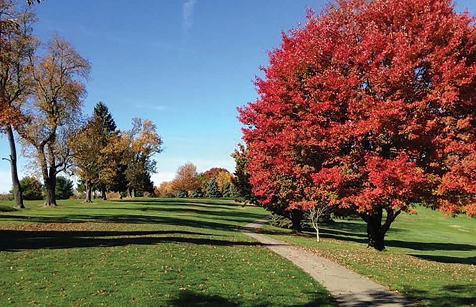 Hiland Golf Course 1